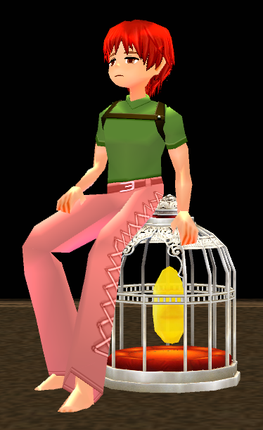 Seated preview of Starlit Birdcage Perch