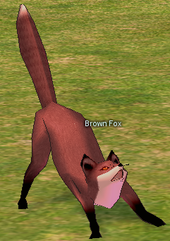 Picture of Brown Fox
