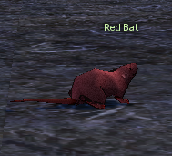 Picture of Red Rat