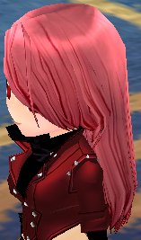 Equipped Scathach Wig viewed from an angle