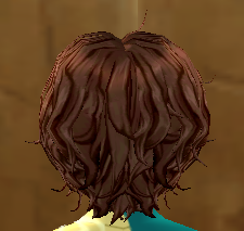 Equipped Desert Warrior Wig (M) viewed from the back