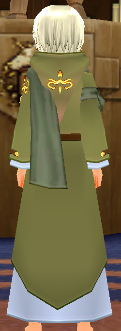 Equipped Male Traveller's Robe viewed from the back with the hood down
