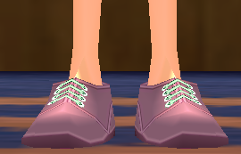 Astin Shoes Equipped Front.png