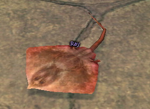 Ray •, Wiki