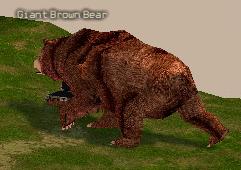 Picture of Giant Brown Bear