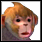 Pet Monkey.png