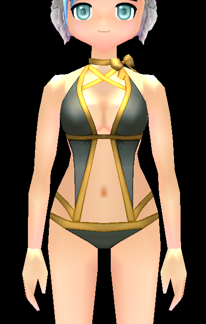 Lace Swimsuit (F) Equipped Front.png